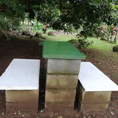Paraiso Verde Siqurres Da Alegria エクステリア 写真
