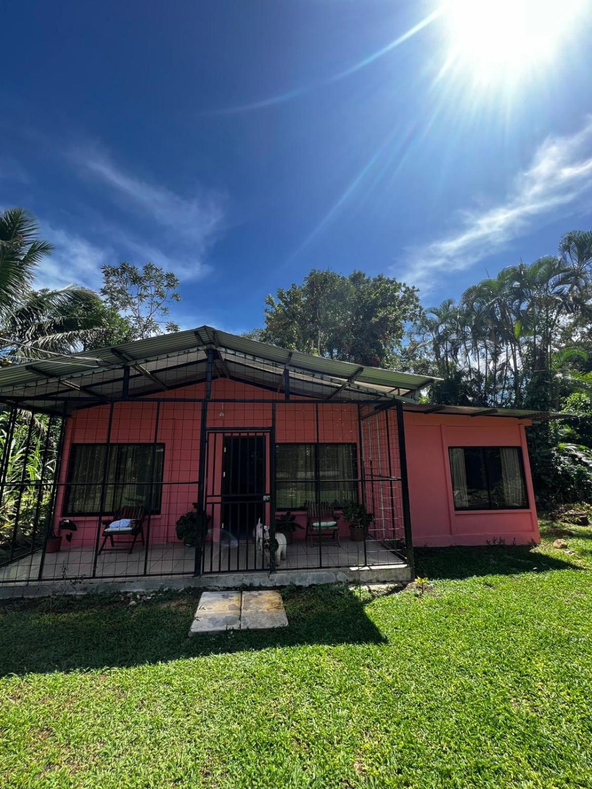 Paraiso Verde Siqurres Da Alegria エクステリア 写真