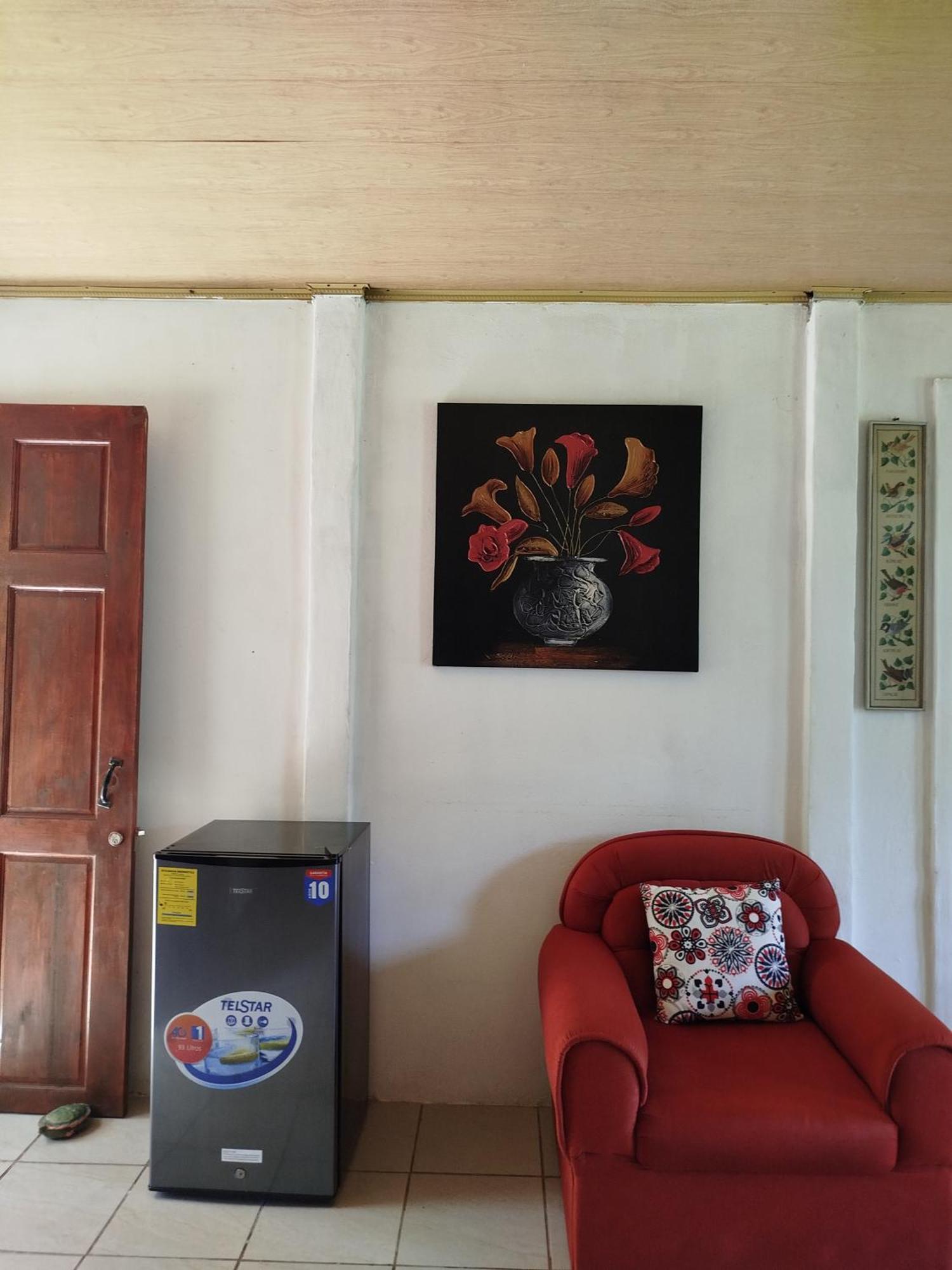 Paraiso Verde Siqurres Da Alegria 部屋 写真