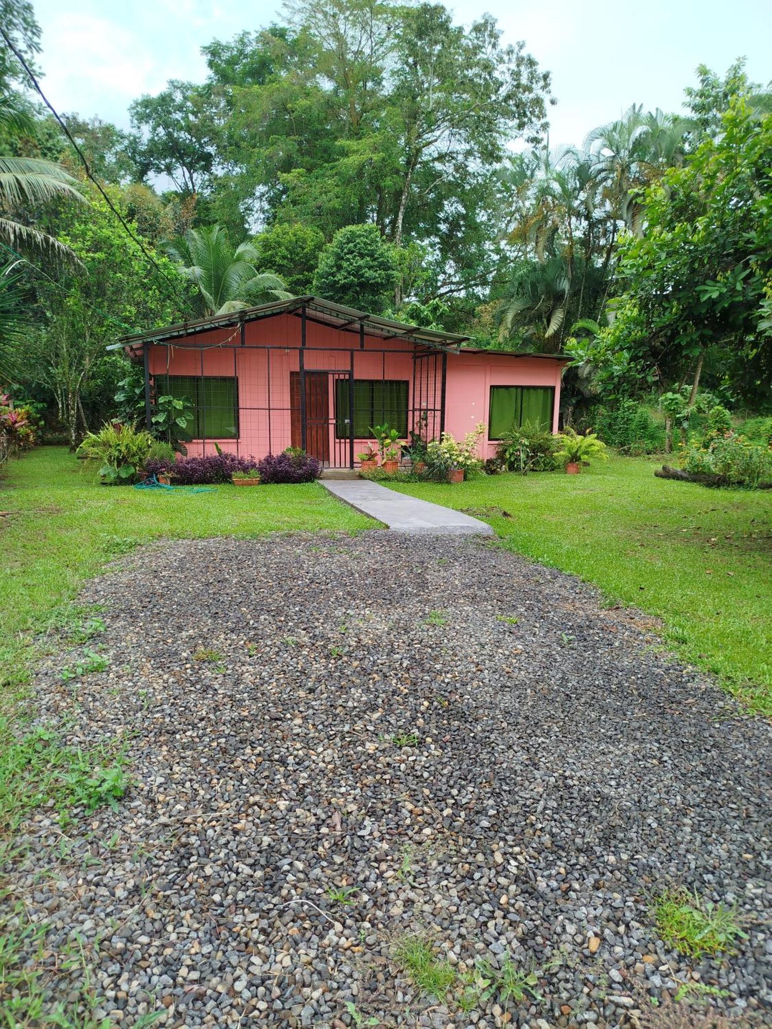 Paraiso Verde Siqurres Da Alegria 部屋 写真
